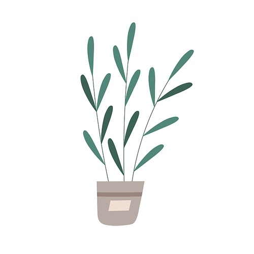 Green houseplant growing in pot. Home plant with leaves in flowerpot. Tall stem with leaf in planter. Foliage decoration for house interior. Flat vector illustration isolated on white .
