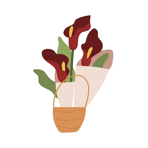 Calla lilies with leaf in basket. Cala flowers wrapped in paper in wicker. Elegant blooming floral plant. Gorgeous fresh cut flora. Colored flat vector illustration isolated on white .