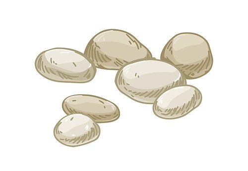 Smooth pebbles, quartz stones. Group of polished cobbles. Weathered cobblestones. Beach marine rocks. Realistic detailed hand-drawn vector illustration isolated on white .