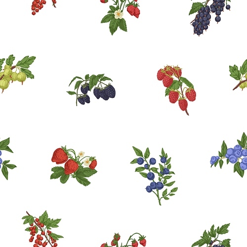Seamless pattern with mix of berry branches. Endless botanical background with bilberry, blackberry, cranberry and currant fruits. Repeating design in retro style. Hand-drawn vector illustration.