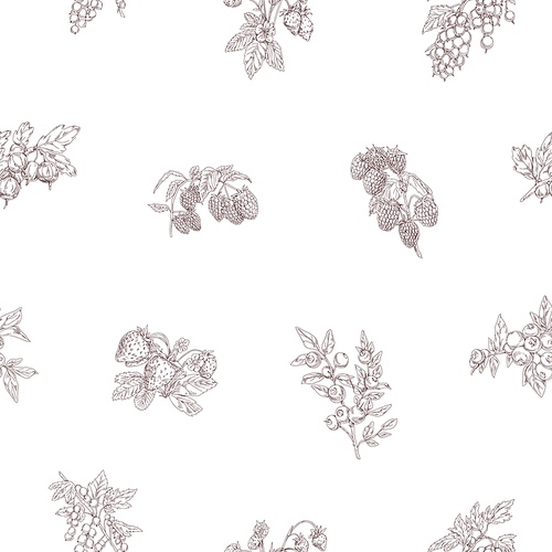 Outlined berry branches pattern. Seamless botanical background with vintage drawings of fruit plants. Endless design with repeating . Hand-drawn vector illustration for wrapping and decoration.