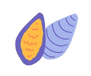Mussels in shells. Open oysters, sea food. Clams in doodle style. Fresh mollusk, seafood delicacy. Flat vector illustration isolated on white .