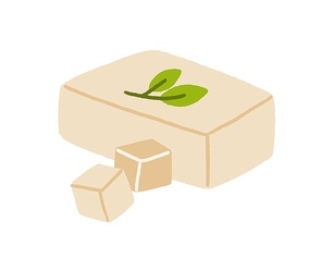 Tofu block and its cut cube pieces. Whole bar of feta cheese served with basil leaf. Fresh dairy food, milk product. Flat vector illustration isolated on white .
