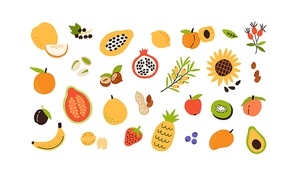 Fruits, nuts and berries set. Healthy vitamin food, groceries. Fresh avocado, banana, pineapple, walnut, lemon, orange, kiwi and sunflower. Flat vector illustration isolated on white background.
