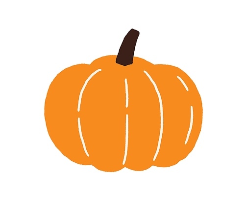 pumpkin,  vegetable for halloween. icon of fall squash drawn in doodle style. whole orange round-shaped veggie for thanksgiving. flat vector illustration of pumkin isolated on white .