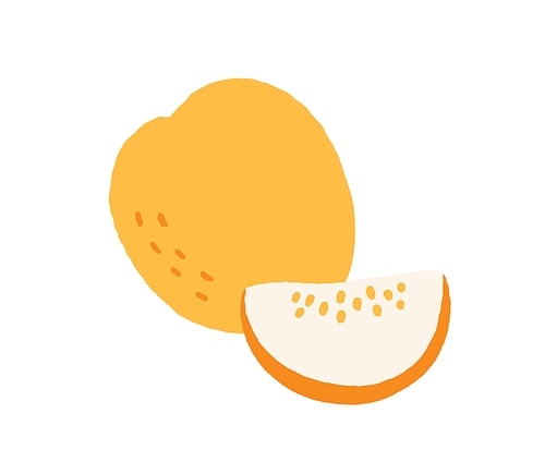 , whole yellow fruit and cut piece. cantaloupe drawn in doodle style. fresh exotic summer nutrition. ripe sweet muskmelon, slice with seeds. flat vector illustration isolated on white .