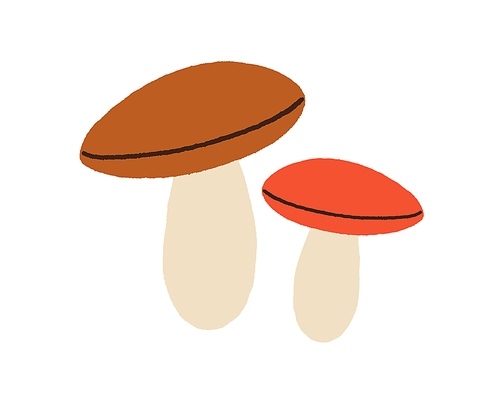 Autumn mushrooms composition in doodle style. Big and small edible forest fungi with stalks and caps. Fresh food from woods. Flat vector illustration isolated on white .