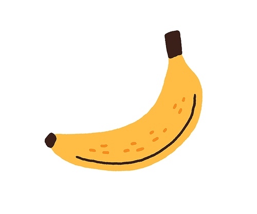 Fresh ripe banana in peel. Sweet tropical food icon. Natural exotic banan in yellow skin in doodle style. Raw vitamin. Colored flat vector illustration isolated on white .