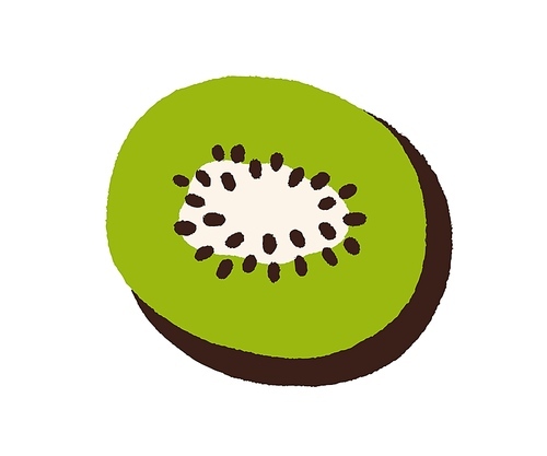 Kiwi, cut half of fresh fruit with green flesh and seeds. Top view of tropical kiwifruit piece drawn in doodle style. Exotic food icon. Flat vector illustration isolated on white .