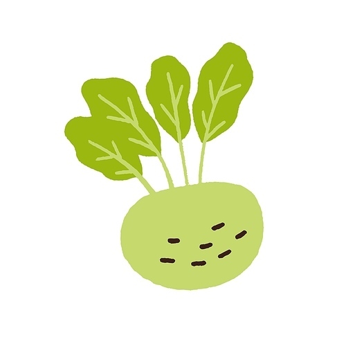 Fresh turnip tuber with top greens. Raw root vegetable with leaf. Healthy food. Doodle veggie icon. Flat vector illustration isolated on white .