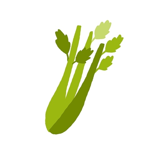 Celery stalks and leaf. Bunch of stems of fresh green leafy vegetable. Healthy natural raw food. Vitamin crunchy veggie icon. Flat vector illustration isolated on white .