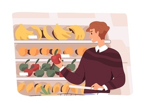Customer doing shopping in grocery store, choosing fruits. Consumer making choice of healthy organic food in supermarket. Man buyer buying in greengrocery, produce department. Flat vector illustration.