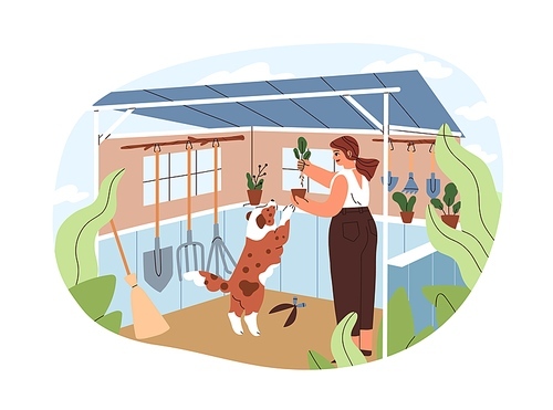 Woman replanting potted plants, work under garden shelter in dacha. Rural summer lifestyle of person and dog. Happy female with pet on holidays. Flat vector illustration isolated on white .