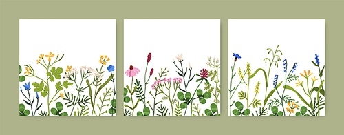 Floral cards set. Wild flowers backgrounds. Botanical designs with herbs. Floristic postcard templates with field and meadow herbal plants. Wildflowers backdrop. Colored flat vector illustration.