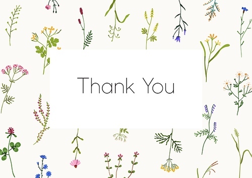 Floral background design. Thank you card template with wild flowers and herbs frame. Spring romantic postcard with meadow herbal blooming plants and space for text. Colored flat vector illustration.