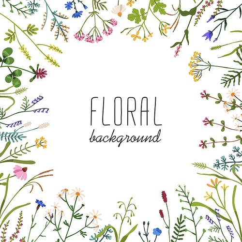 Floral background with wild flowers circle frame. Botanical square card design with field and meadow plants. Spring and summer herbs, blooms postcard template. Colored flat vector illustration.