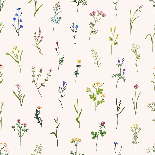 Wild flowers pattern. Seamless floral background. Repeating botanical  with spring blooms, plants and herbs for wallpaper and wrapping. Delicate flora texture. Colored flat vector illustration.