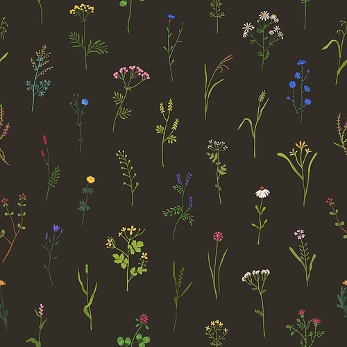seamless floral pattern. wild flowers on  background. botanical design with wildflowers and herbs . herbal flora texture. endless backdrop with blooms. colored flat vector illustration.
