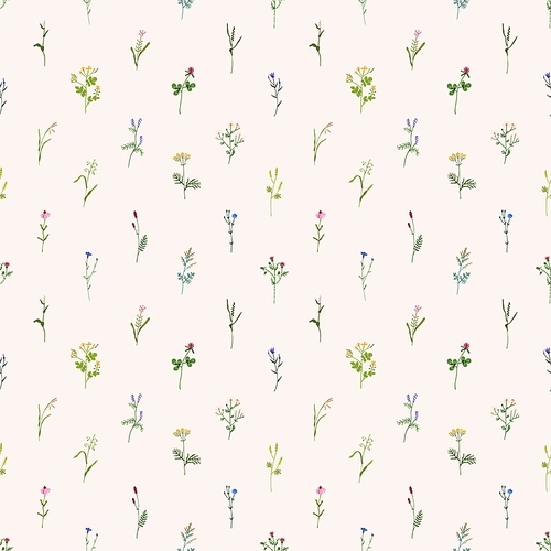 Wild flowers pattern. Seamless floral background with repeatable botanical . Herbal blooms, plants, wildflowers backdrop design for wrapping and fabric. Colored flat vector illustration for decor.