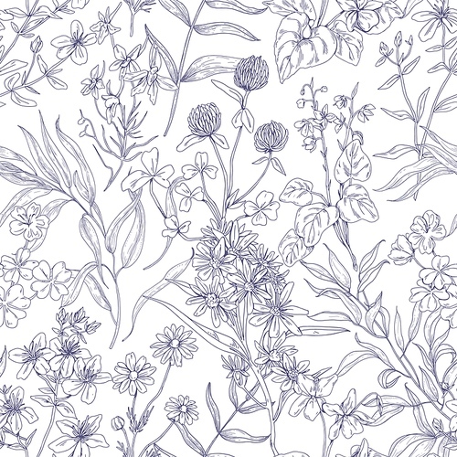 outlined botanical pattern with wild flowers. seamless repeating floral background with herbs print.  and white vintage texture with herbal field plants, wildflowers. drawn vector illustration.