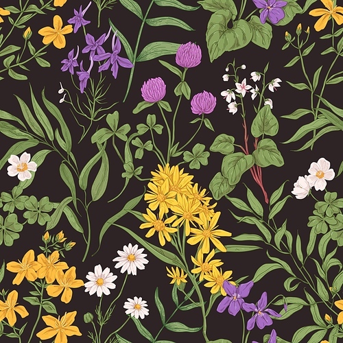 Seamless floral pattern with wild flowers and herbs. Repeating botanical background for printing. Endless retro texture with summer herbal plants and leaves. Colored hand-drawn vector illustration.
