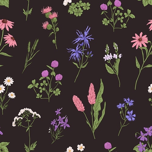 wild flower pattern on  background. seamless botanical texture with wildflowers, herbs and floral plants in retro style. realistic repeating backdrop. colored hand-drawn vector illustration.