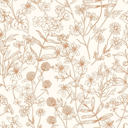Flower pattern. Seamless background with floral herbs. Vintage botanical monochrome  with wild field and meadow plants. Repeatable herbal texture. Hand-drawn vector illustration in retro style.