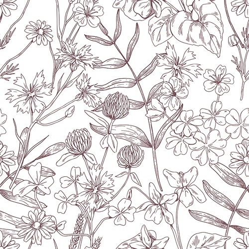 Outlined floral pattern with flowers. Seamless botanical background with wild herbs . Handdrawn detailed vintage texture with herbal meadow plants. Hand-drawn vector illustration in retro style.