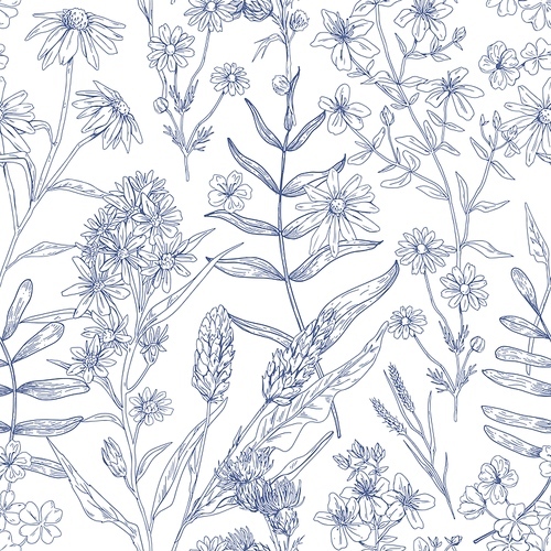 Seamless botanical pattern with wild flowers. Outlined floral background with herbs. Endless repeating texture design. Engraved handdrawn herbal plant . Hand-drawn detailed vector illustration.