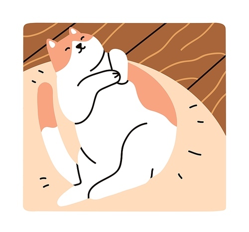Cute relaxed kitty sleeping on cat bed. Happy sleepy feline animal lying on cushion at home. Lazy adorable chubby kitten is asleep with belly up. Flat graphic vector illustration of pet napping.