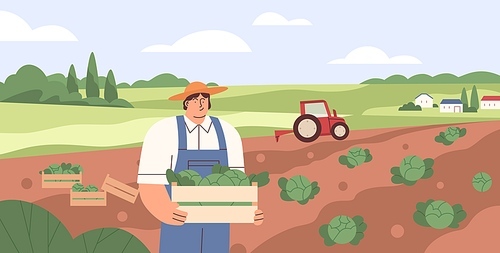 Farm landscape with agriculture field and farmer with crate of vegetables. Worker collecting harvest on plantation. Man in farmland with box of cabbages. Flat vector illustration of agronomist.