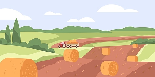 Farm field with hay bales. Dry wheat grass rolls in agriculture grassland. Haystacks and tractor in countryside. Country landscape, panoramic view. Rural scenery panorama. Flat vector illustration.
