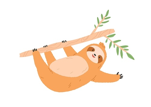 Cute sloth hanging on tree branch. Funny  baby animal gesturing and waving with paw, saying hello. Happy sweet slow character. Flat vector illustration isolated on white .
