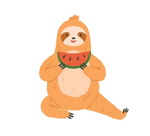 Cute sloth eating watermelon. Happy funny animal sitting and holding sweet fruit slice in paws. Charming smiling character resting with food. Flat vector illustration isolated on white .