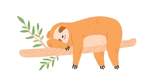 Sleepy  sloth sleeping on tree branch. Cute happy animal lying. Asleep baby character relaxing and resting with paws hanging down. Flat vector illustration isolated on white .