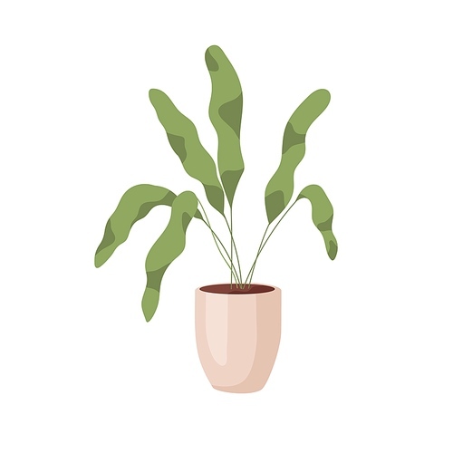 Leaf plant growing in pot. Foliage houseplant in planter. Modern green home decoration. Indoor decor in flowerpot for house and office. Flat vector illustration isolated on white .