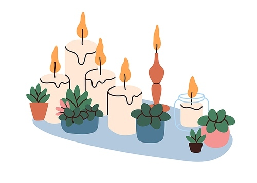 Candles and potted plants composition for aromatherapy and meditation. Aromatic romantic organic zen SPA set with glowing wax candlelight. Flat graphic vector illustration isolated on white .