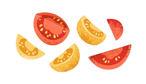 Fresh tomato pieces, slices. Cut vegetable wedges with seeds. Organic natural ripe food of red and yellow color. Colored flat graphic vector illustration isolated on white .
