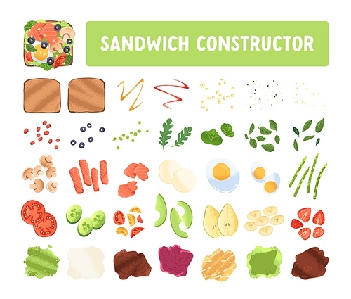sandwich constructor with bread slices and fresh ingredients set. toasts, s, greens, sauces, egg, avocado and fruits. food pieces bundle. flat vector illustration isolated on white .