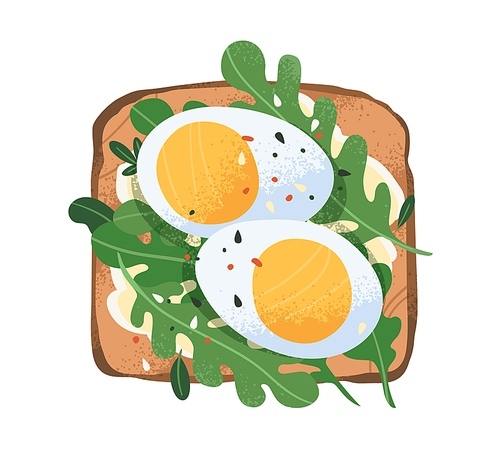 Toast with boiled eggs, rucola and cream cheese on grilled bread. Sandwich with slices of fresh ingredients. Vegetarian snack. Breakfast food. Flat vector illustration isolated on white .