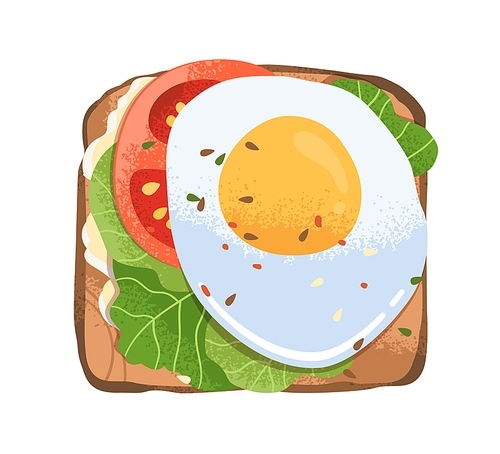 Grilled toast with fried egg, tomato slice, lettuce leaf and cream cheese on bread. Sandwich top view. Healthy snack, breakfast food. Flat graphic vector illustration isolated on white .