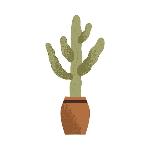 Cactus growing in pot. Green tropical house plant in planter. Natural home decor, cacti. Indoor vegetation in flowerpot, interior decoration.Flat vector illustration isolated on white .