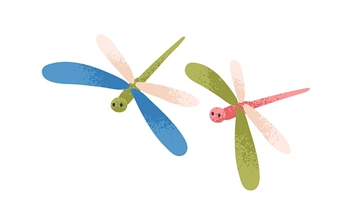 Cute dragonflies couple flying. Sweet spring insects in air. Fairytale baby characters with wings in flight. Childish kids flat vector illustration isolated on white .