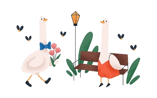 Cute goose couple on romantic date. Funny birds in love. Kids character with flower bouquet meeting adorable animal in park. Fairytale childish flat vector illustration isolated on white .