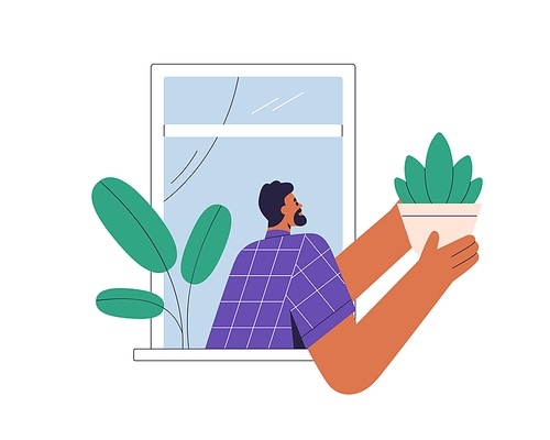 person in open window, holding leaf plant in pot for decorating outside of house. man with houseplant for home decoration, urban jungle. flat vector illustration isolated on white .