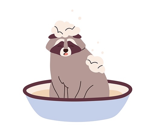 Raccoon washing, bathing in basin with water and shampoo. Cute funny racoon animal in washbasin with soap foam during spa grooming hygiene. Flat vector illustration isolated on white .