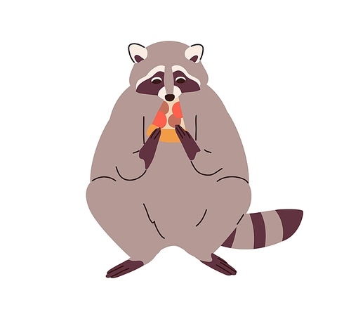 Cute raccoon eating pizza piece. Funny adorable racoon with food slice in paws. Amusing lovely animal sitting with snack, feed. Flat vector illustration isolated on white .