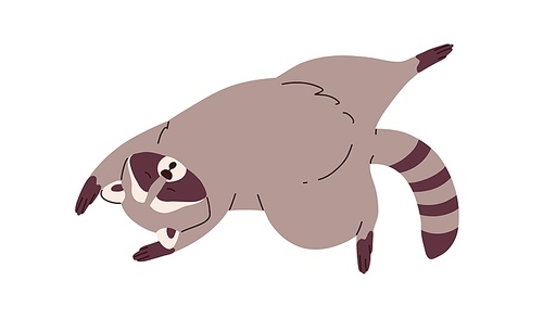 Cute  raccoon sleeping, relaxing. Sleepy racoon lying in funny pose. Amusing animal asleep. Lovely sweet character dreaming, lounging. Flat vector illustration isolated on white .