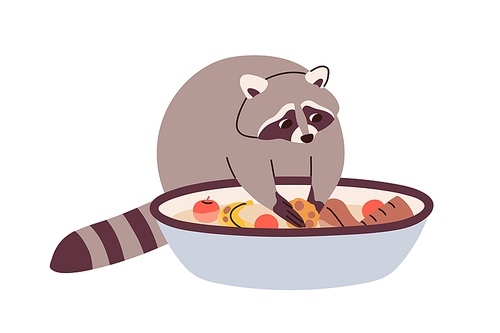 Cute raccoon washing food in basin. Funny racoon cleaning fruits in water bowl. Amusing lovely neat wild animal with eating. Adorable character. Flat vector illustration isolated on white .