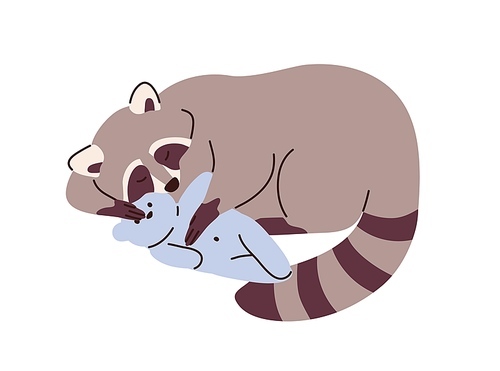 Cute raccoon sleeping, relaxing with soft toy. Sleepy racoon dreaming, napping with teddy bear. Adorable lovely sweet animal asleep. Flat vector illustration isolated on white .